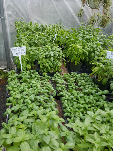 Florist «Hanover Floral Company», reviews and photos, 61 Ridgedale Ave, East Hanover, NJ 07936, USA