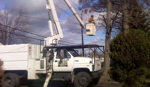 Todds Tree and Crane Service