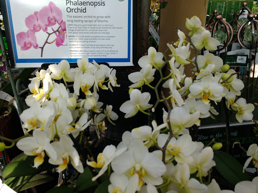 Garden Center «English Gardens», reviews and photos, 44850 Garfield Rd, Charter Twp of Clinton, MI 48038, USA