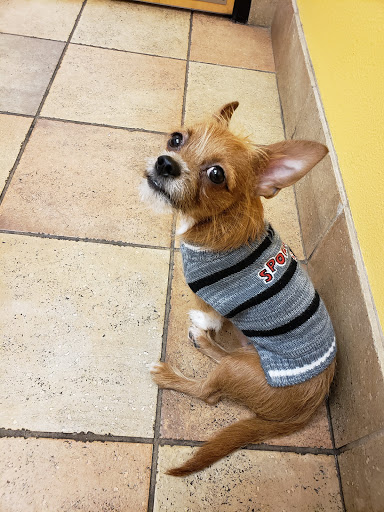 Pet Supply Store «PetSmart», reviews and photos, 5 Main St, East Hartford, CT 06118, USA