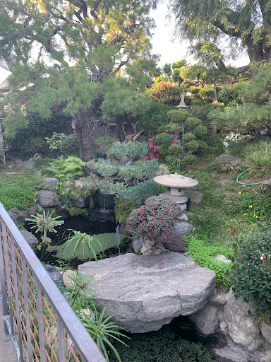 Plant Nursery «San Gabriel Nursery & Florist», reviews and photos, 632 S San Gabriel Blvd, San Gabriel, CA 91776, USA