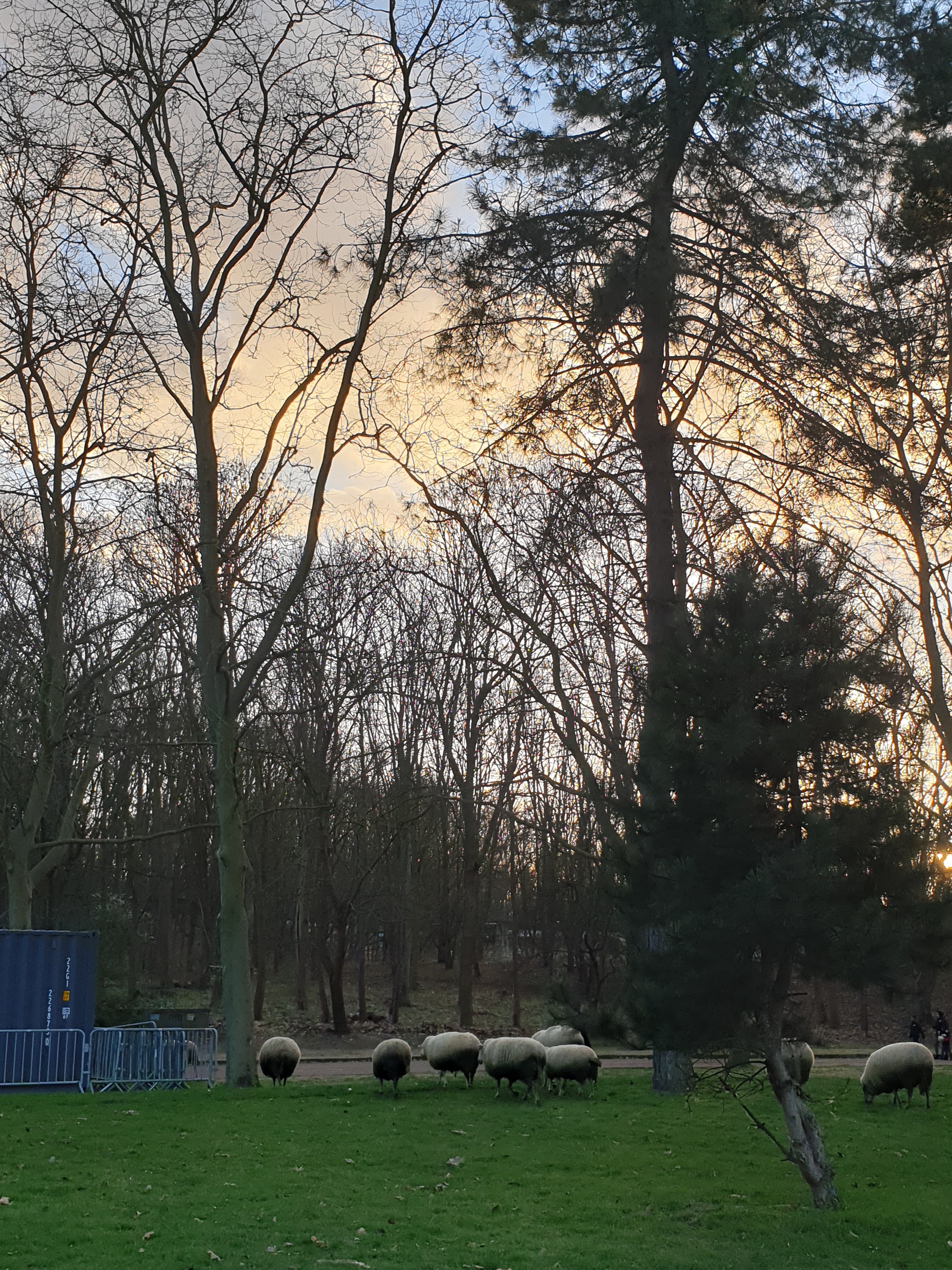 Photo n° 31 de l'avis de Maria.o fait le 01/01/2018 à 17:41