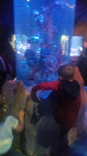 Aquarium «SeaQuest Interactive Aquarium», reviews and photos, 1201 N Hill Field Rd #1072, Layton, UT 84041, USA