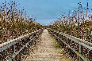 Lynde Shores Conservation Area image