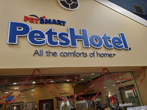 Pet Supply Store «PetSmart», reviews and photos, 21032 S Ellsworth Loop, Queen Creek, AZ 85142, USA
