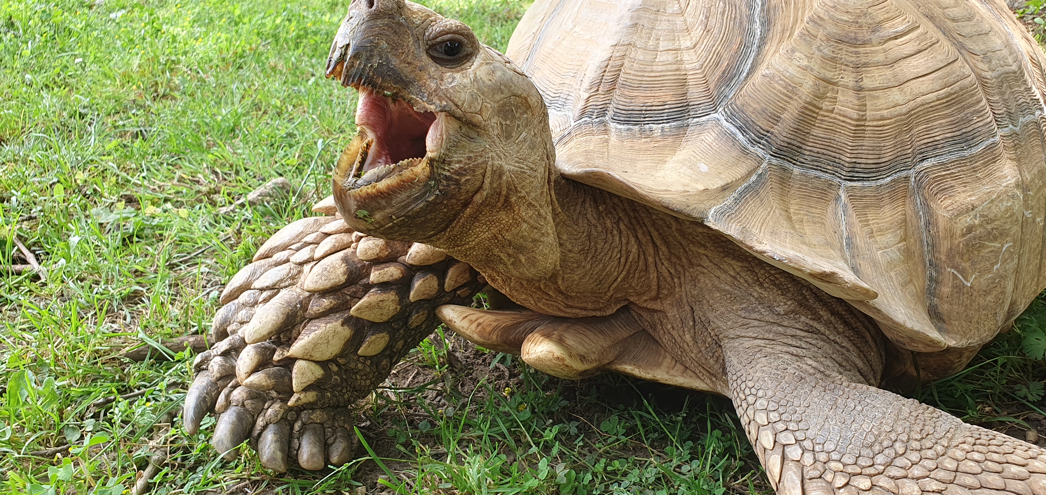 Photo n° 1 de l'avis de Carole.h fait le 08/06/2023 à 19:18