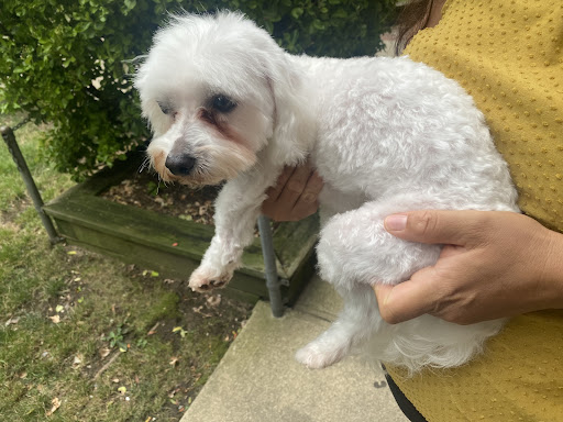 Pet Supply Store «Petco Animal Supplies», reviews and photos, 806 Sunrise Hwy, Baldwin, NY 11510, USA