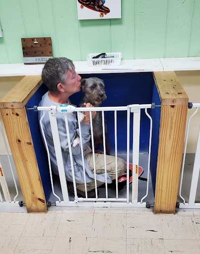 Pet Groomer «Tidy Dog Pet Supply & Salon», reviews and photos, 2612 Lebanon Pike A, Nashville, TN 37214, USA