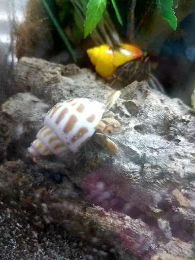 Pet Supply Store «Petco Animal Supplies», reviews and photos, 1320 E Lincoln Way p101, Sparks, NV 89434, USA