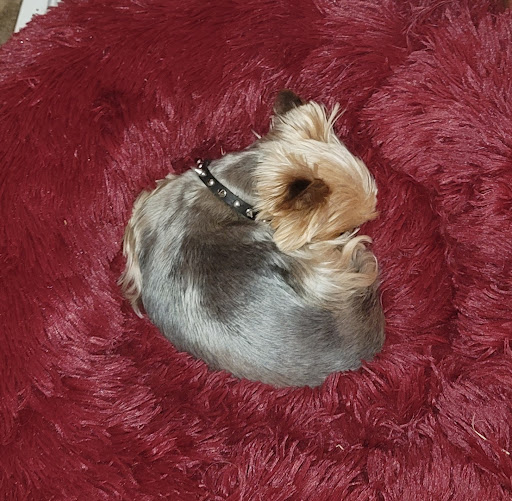 Pet Supply Store «Nature Boys Farm & Pet Supply», reviews and photos, 17022 Pacific Ave S, Spanaway, WA 98387, USA