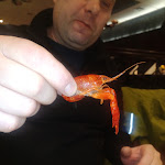 Photo n°2 de l'avis de Thomas.a fait le 31/01/2022 à 20:14 sur le  Fiedlers Restaurant. Fisch & Steak in Fiedlers Aalkate à Bremerhaven