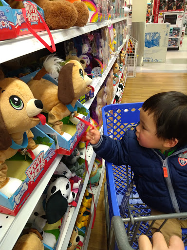 Toy Store «Toys