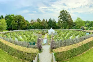 Greenan Maze image