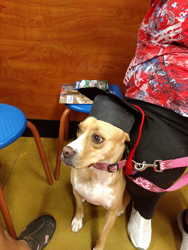 Pet Supply Store «PetSmart», reviews and photos, 131 Town Center Rd, King of Prussia, PA 19406, USA