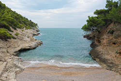 Foto di Baia della Pergola ubicato in zona naturale