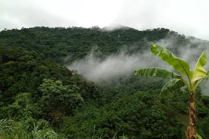 Pu Hu Nature Reserve image