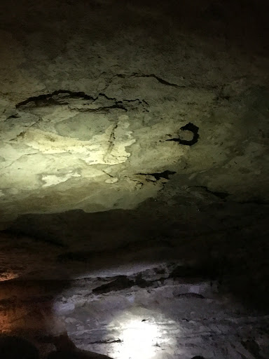 Cave «Bluegrass Underground», reviews and photos, 1437 Cumberland Caverns Rd, McMinnville, TN 37110, USA