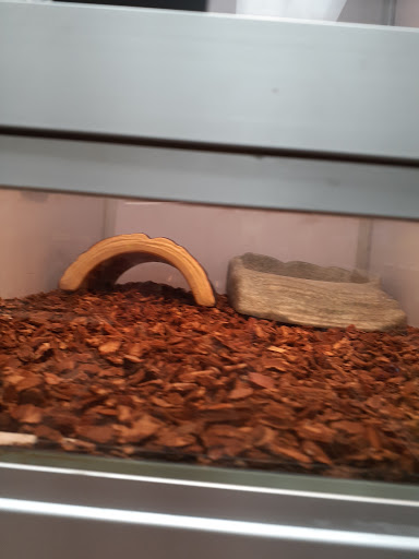 Pet Supply Store «Pet Supermarket», reviews and photos, 1040 Palm Coast Pkwy NW, Palm Coast, FL 32137, USA