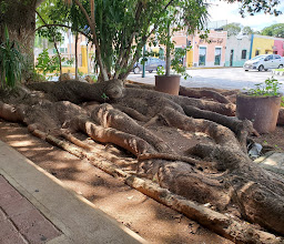 Cafetería Impala photo