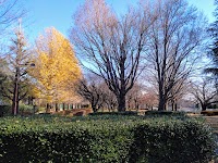 三鷹市立仙川平和公園