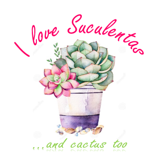I Love Suculentas