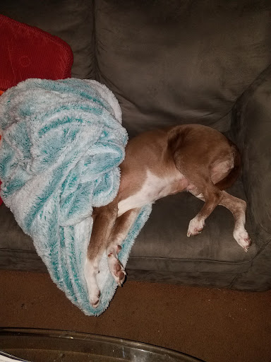 Shopping Mall «Cardiff Plaza Shopping Center», reviews and photos, E Black Horse Pike, Pleasantville, NJ 08232, USA