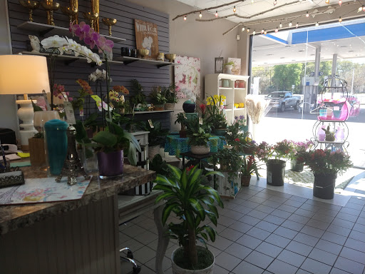 Florist «A Special Rose Florist», reviews and photos, 14546 Bruce B Downs Blvd, Tampa, FL 33613, USA