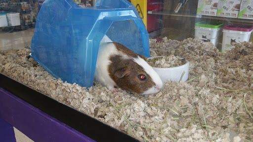 Pet Supply Store «Petco Animal Supplies», reviews and photos, 19 Shining Willow Way, La Plata, MD 20646, USA