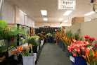 Best Artificial Flower Shops In Honolulu Near You