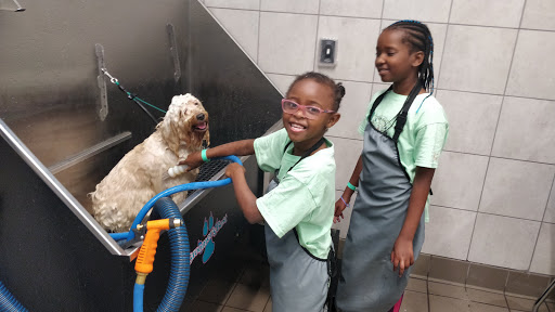 Pet Supply Store «Pet Supplies Plus», reviews and photos, 6199 GA-92 Suite 160, Acworth, GA 30102, USA