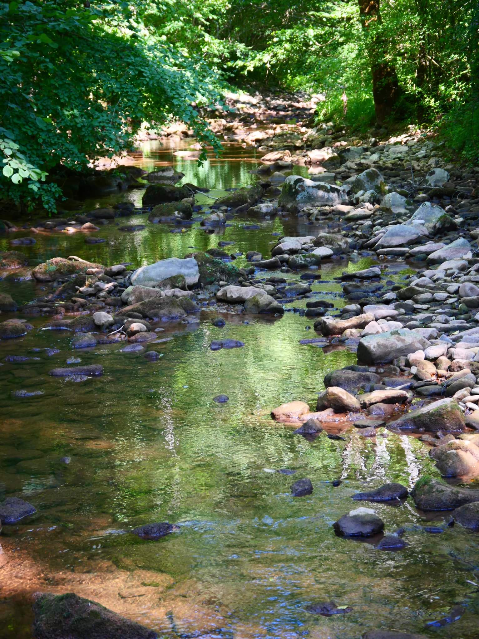 Photo n° 4 de l'avis de Aude.e fait le 07/07/2022 à 19:39