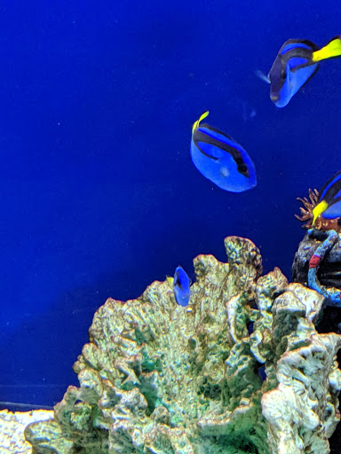 Pet Store «Creature Comforts», reviews and photos, 1250 Front St, Binghamton, NY 13901, USA