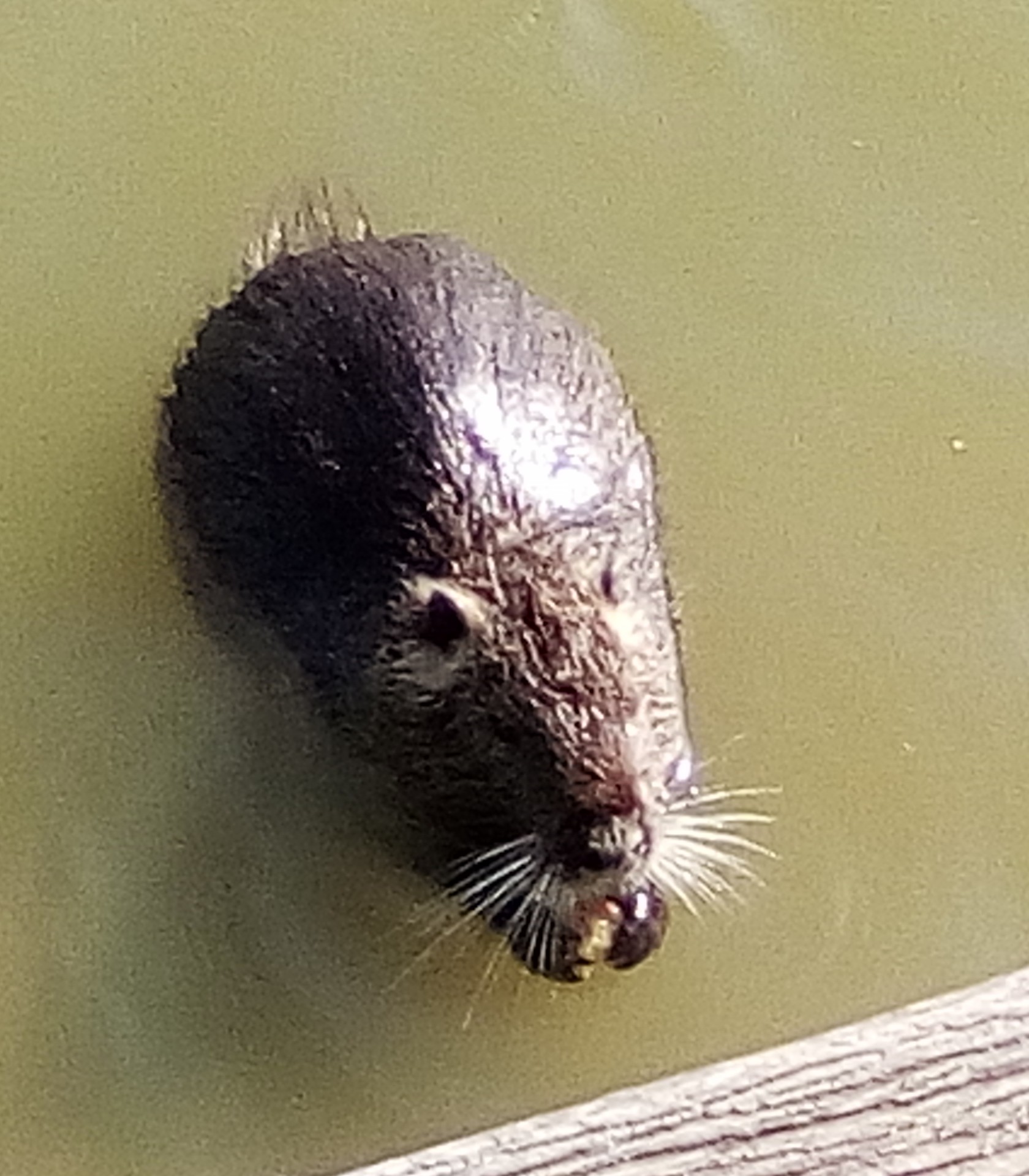 Photo n° 1 de l'avis de Gamer.p fait le 19/07/2019 à 19:17