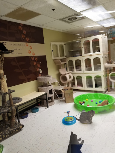 Pet Supply Store «Petco Animal Supplies», reviews and photos, 2340 Holcomb Bridge Rd, Roswell, GA 30076, USA