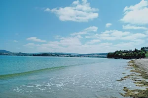 Playa Gandario image