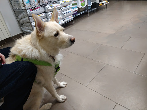 Centro Veterinario Centelles en Centelles