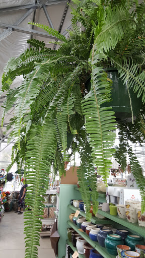 Garden Center «Binghamton Agway», reviews and photos, 145 Broad Ave, Binghamton, NY 13904, USA