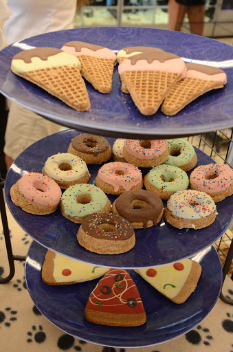 Pet Store «Critters Pet Shop», reviews and photos, Randall Rd, South Elgin, IL 60177, USA