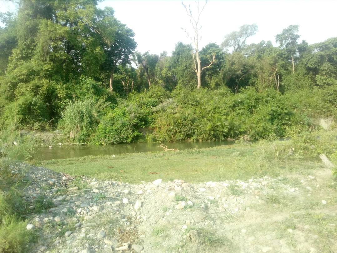 माँ नव दुर्गा मंदिर , चकजोगी वाला , छिद्दरवाला ।