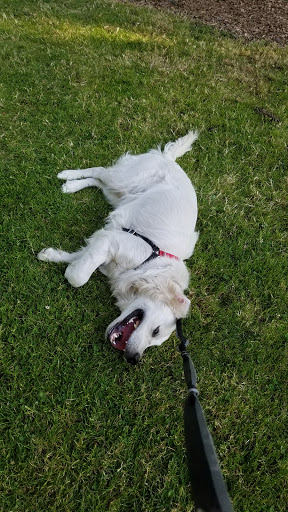 Park «Wallace City Park», reviews and photos, 1600 NW 25th Ave, Portland, OR 97210, USA