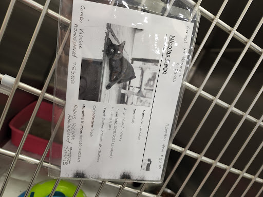 Pet Supply Store «PetSmart», reviews and photos, 4749 Valley View Blvd NW, Roanoke, VA 24012, USA