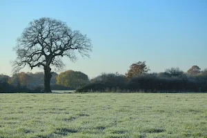 Tolworth Court Farm Fields image