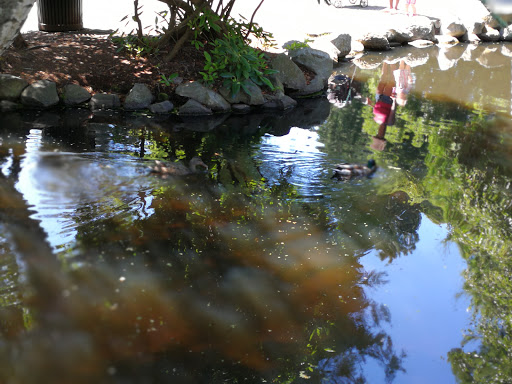 Ice Cream Shop «Ice Cream Social», reviews and photos, 2914 6th Ave, Tacoma, WA 98406, USA