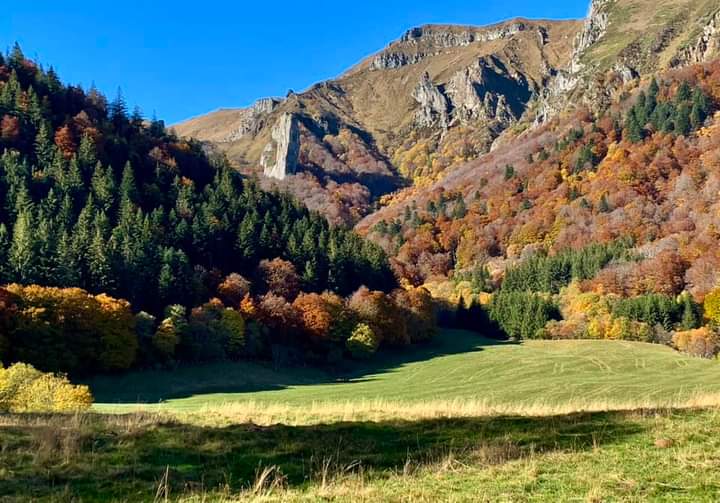 Photo n° 3 de l'avis de Gérard.e fait le 25/02/2024 à 14:47