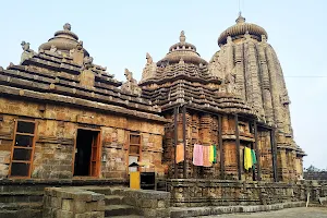 Shree Ananta Basudev Temple image