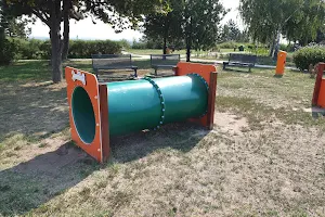Dog playground image