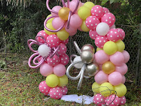 Balloon Time Events - Photo 2 - Car repair in , Jacksonville