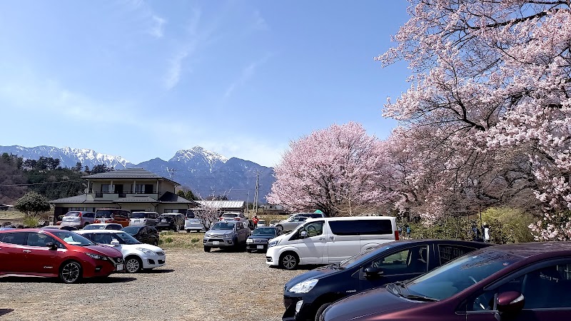 神代桜まつり臨時駐車場