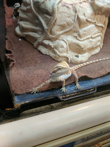 Pet Supply Store «PetSmart», reviews and photos, 20 W University Pkwy, Orem, UT 84058, USA