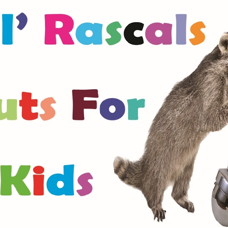 Lil' Rascals Cuts For Kids
